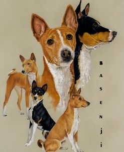 Basenji