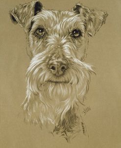 Irish Terrier