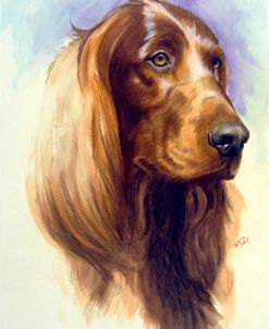 Irish Setter