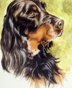 Gordon Setter