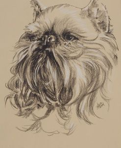 Brussels Griffon