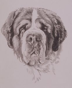 St. Bernard