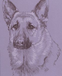 German Shepherd 1