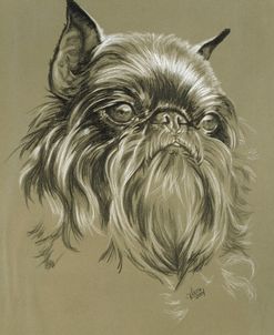 Belgian Griffon