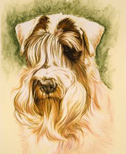 Sealyham Terrier