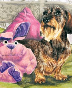Dachshund With Stuffed Toy