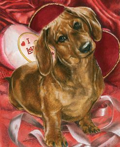 Dachshund Love