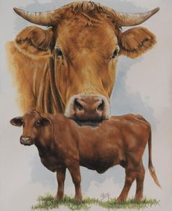 Guernsey Cow