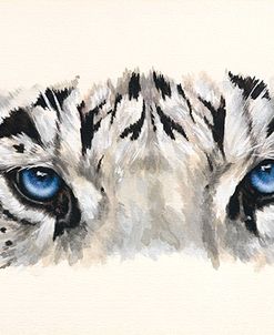 Eye-Catching White Tiger