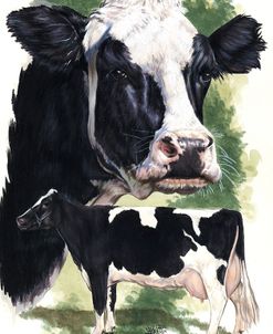 Holstein Cow