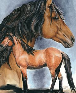 Kiger Mustang