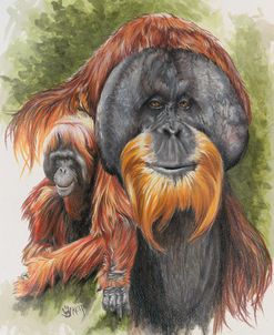 Orangutan Soul