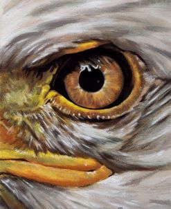 Eye-Catching Bald Eagle