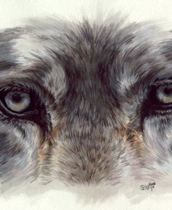 Eye-Catching Wolf