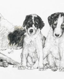 Growing Up Borzoi