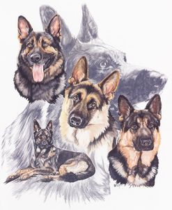 German Shepherd