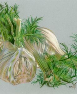 Fennel