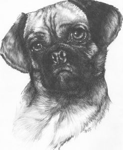 Puggle