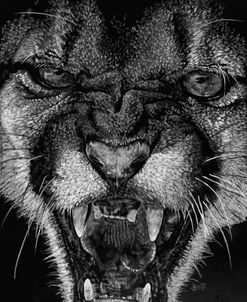 Fury