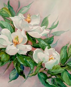 1198 Magnolia Blossoms