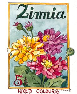 2101 Mixed Colors Zinnia-Seed Packet
