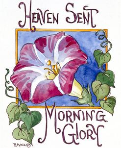 2089 Heaven Sent Mornning Glory-Seed Packet