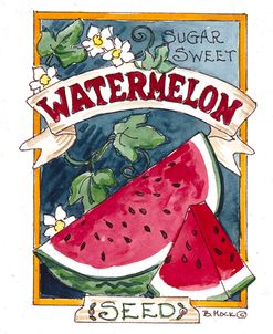 2090 Sugar Sweet Watermelon