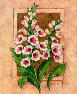 12246 Foxglove Fresco