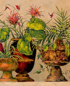 15358 A Taste of the Tropics