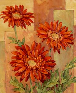 29803 Terracotta Daisies