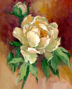 26516 White Peonies I