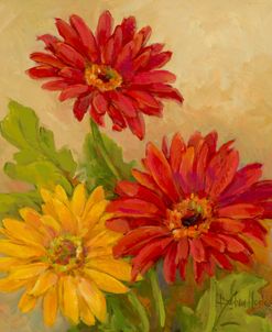 31145 Gerber Daisies I