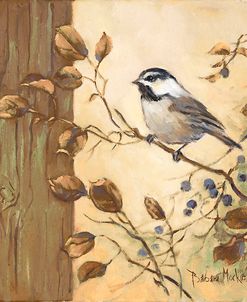 38983 Chickadee Square II