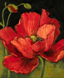 38942 Poppy Blossom I