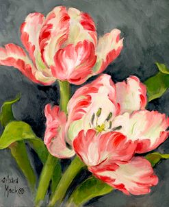 39010 Pink Tulips