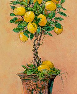 Potted Lemons