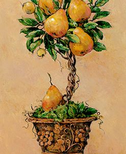 Potted Pears