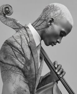 Double Bass Man B&W Nature 2