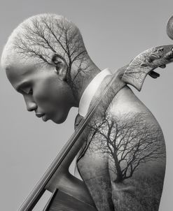 Double Bass Man B&W Nature