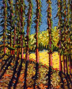 Windbreak