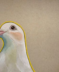 A Dove’s Hi