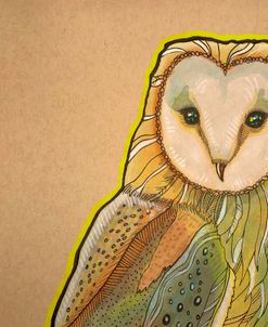 Barn Owl Look