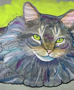 Nice Cat