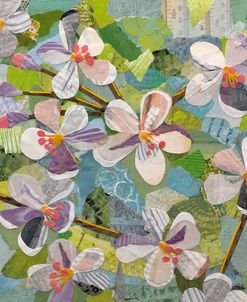 Cut Apple Blossoms