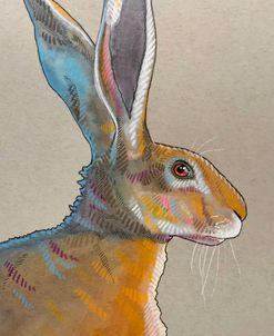 Rabbit Ears