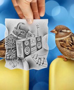 Pencil Vs Camera 66 – Singing Birds