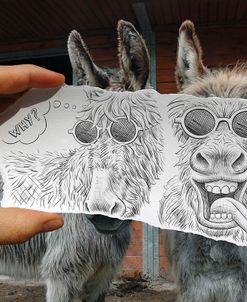 Pencil Vs Camera 12 – Funny Donkey
