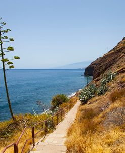 Lanzarote – Tenerife