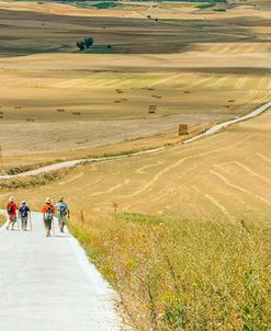 Santiago de Compostela Pilgrimage – 156