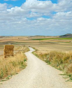 Santiago de Compostela Pilgrimage – 165